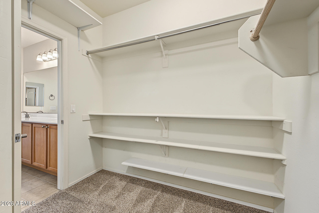25719 N Cinch Drive - Photo 21