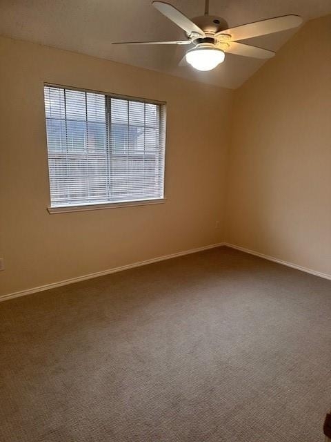 12018 Biloxi Drive - Photo 12