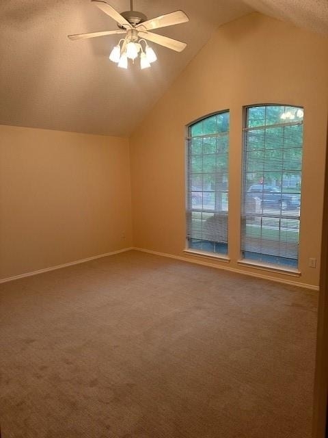 12018 Biloxi Drive - Photo 9