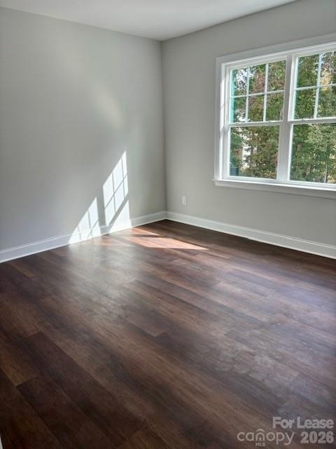 10508 Audubon Ridge Drive - Photo 12