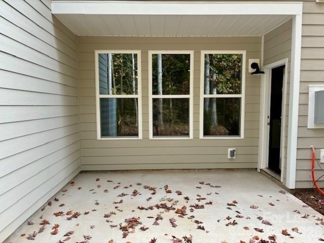 10508 Audubon Ridge Drive - Photo 8