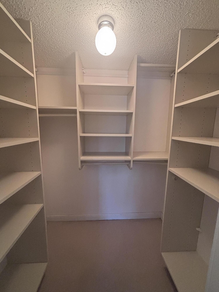 806 Cypress Grove Lane - Photo 10