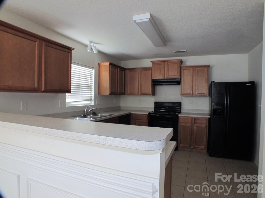 11701 Village Pond Drive - Photo 3