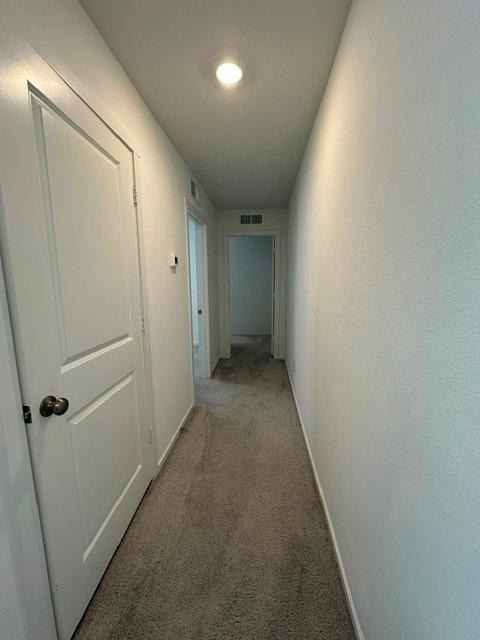 833 Sandhill Crane - Photo 17