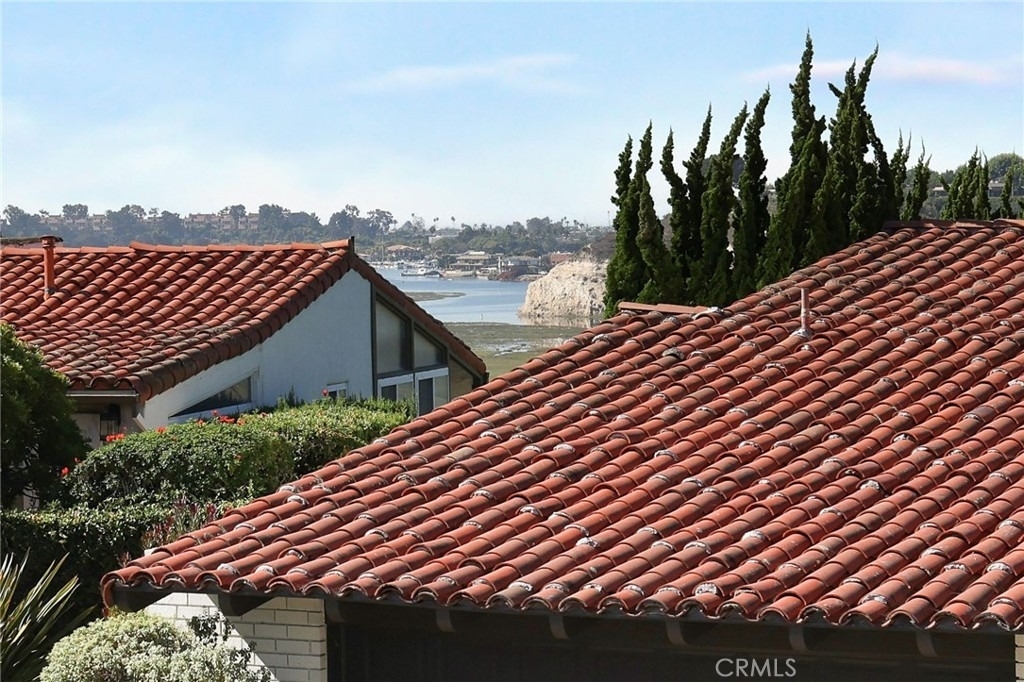 1966 Vista Caudal - Photo 31