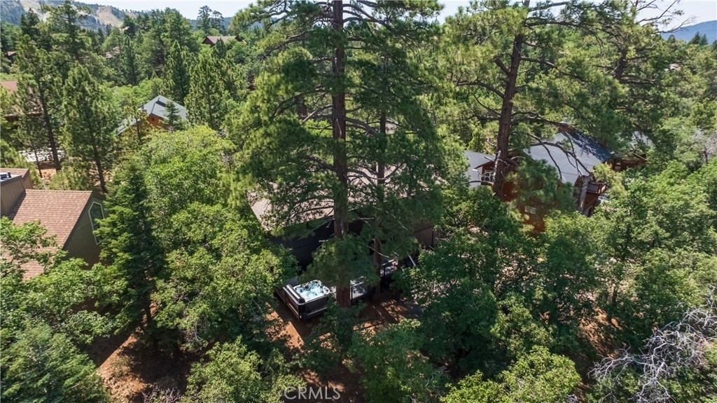 1608 Cascade - Photo 1