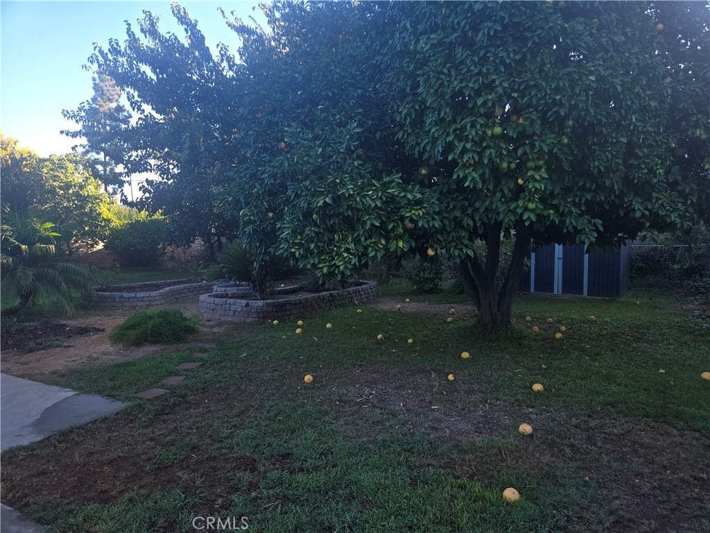 955 Le Conte Drive - Photo 13