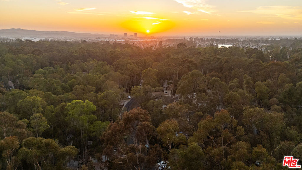 24946 Ravenswood - Photo 10