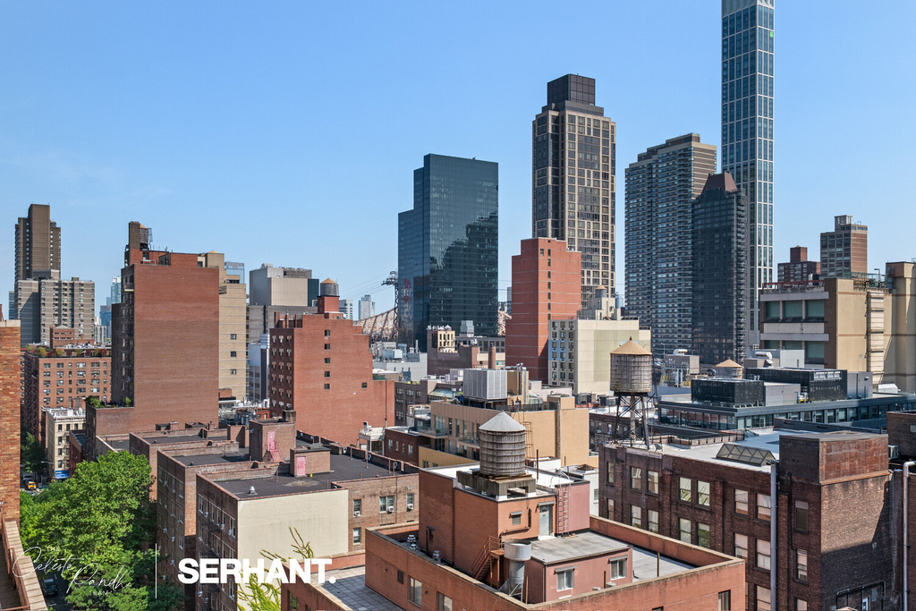 301 E 63rd Street - Photo 19