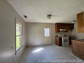 1966 Glenwick Drive - Photo 4