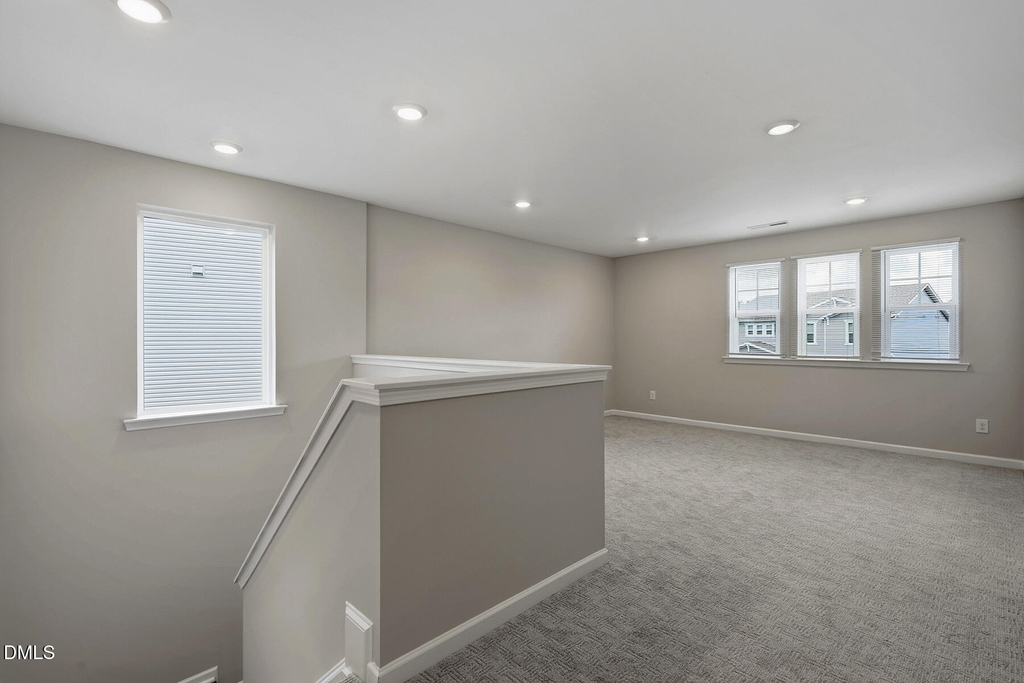 313 Summer Ranch Drive - Photo 17