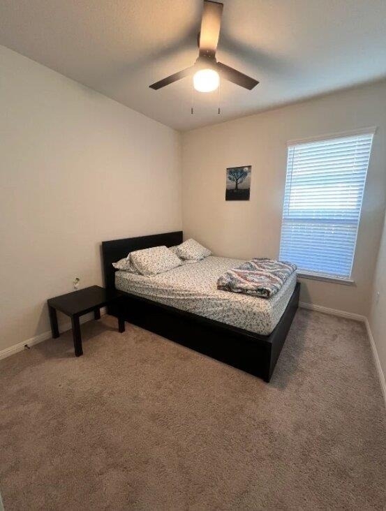 712 Falkland Trce - Photo 8