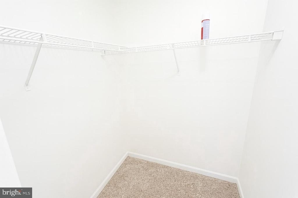 45293 Rumsford Lane - Photo 8