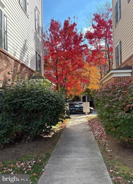 635 Whetstone Glen Street - Photo 2