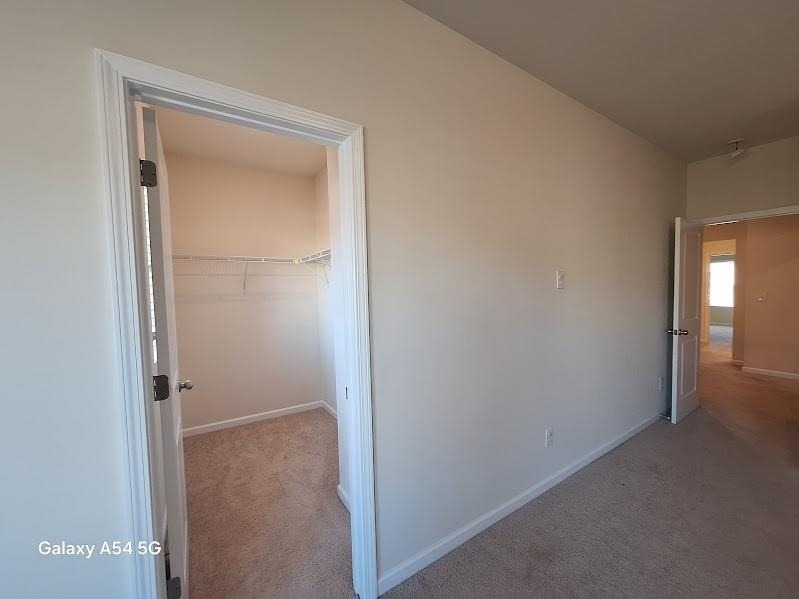 4000 Adder Drive - Photo 13