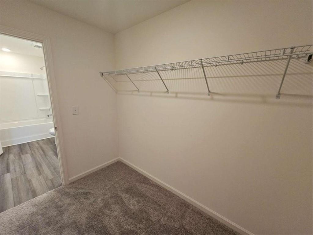 3513 Condor Court - Photo 11