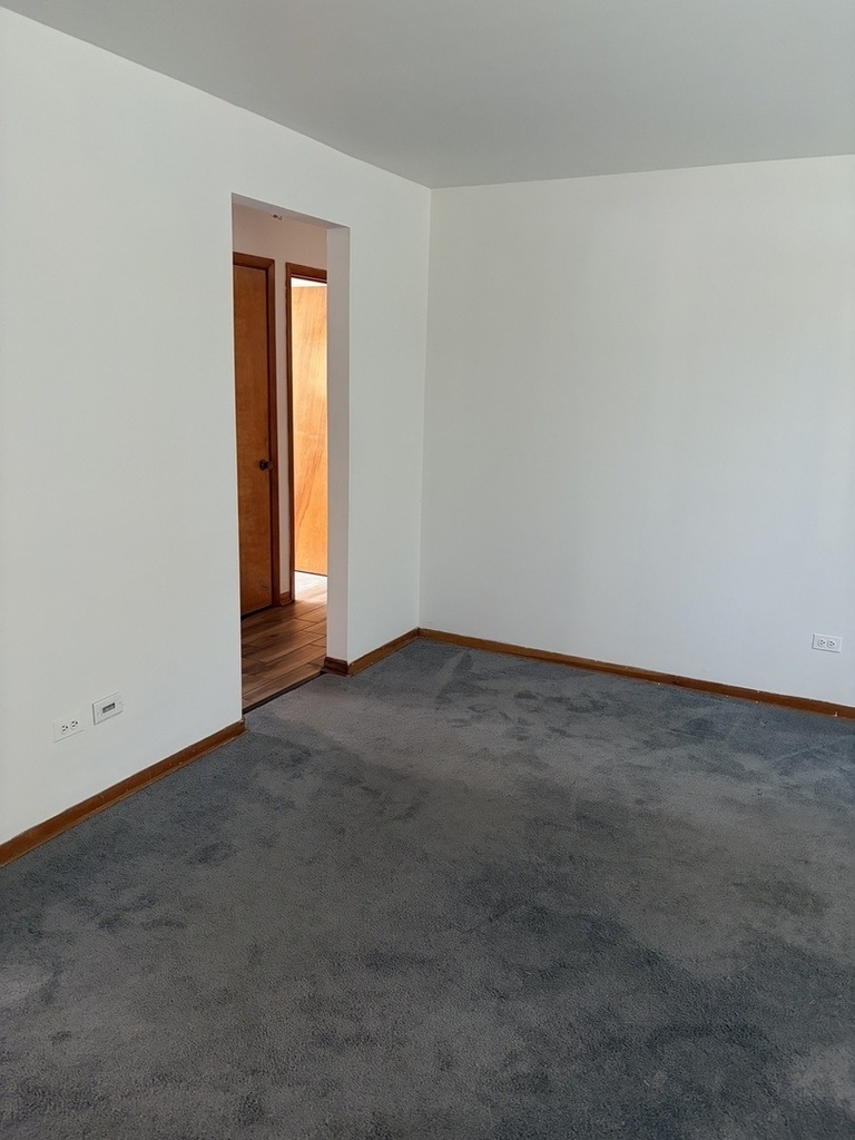 10520 S Austin Avenue - Photo 4