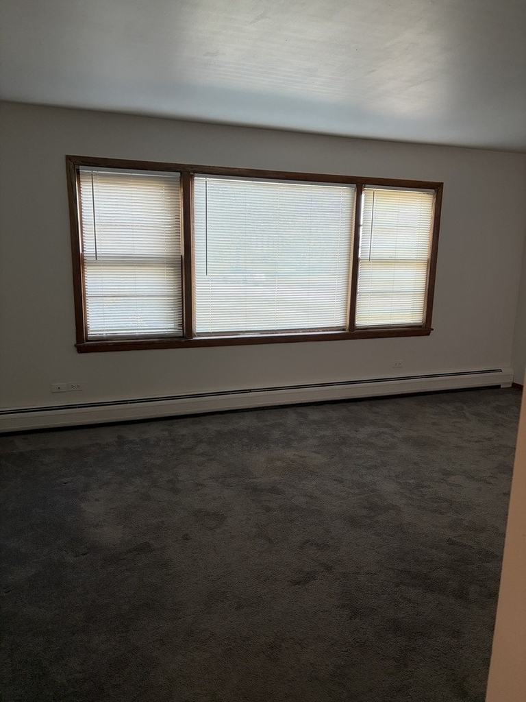 10520 S Austin Avenue - Photo 9