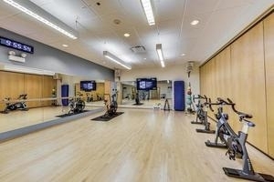 505 N Lake Shore Drive - Photo 18