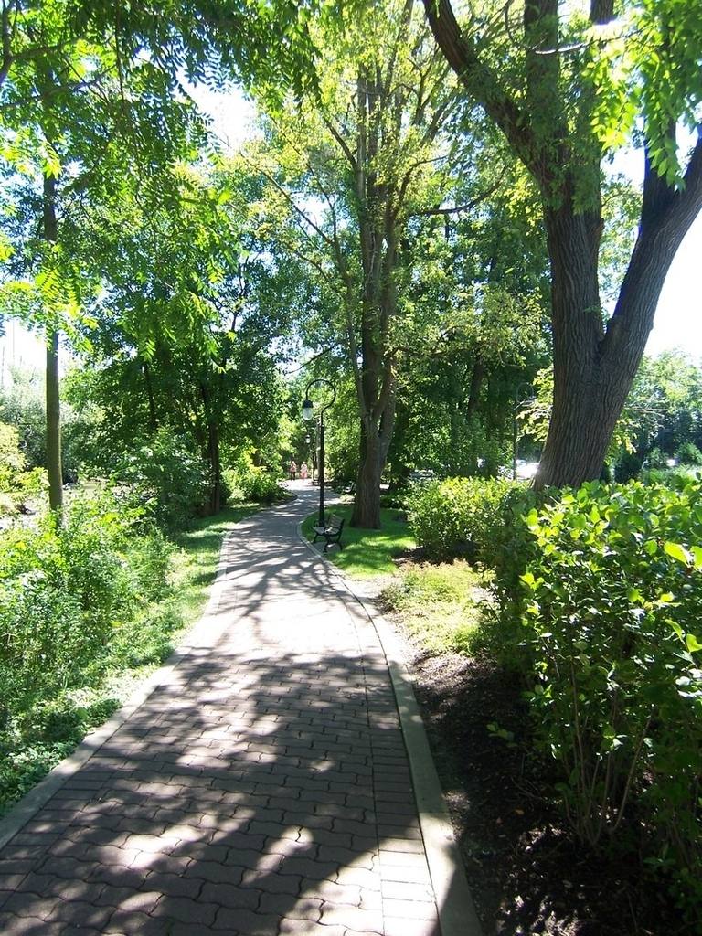 520 S Washington Street - Photo 37