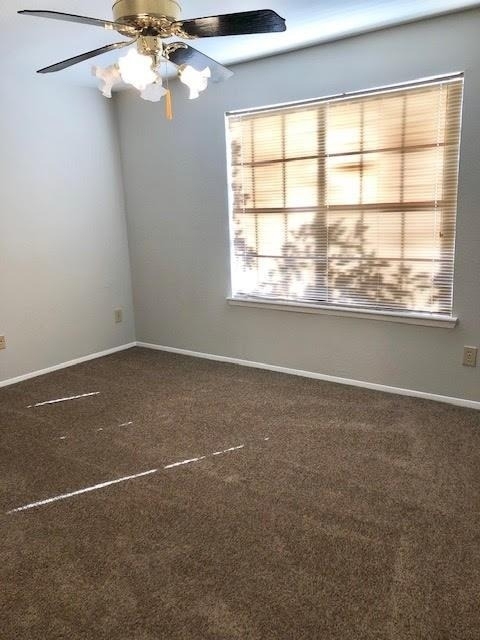 7781 Cambridge Street - Photo 14