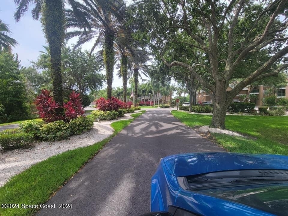 7667 N Wickham Road - Photo 3