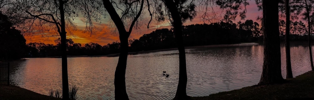 8415 Sunset Loch Drive - Photo 21