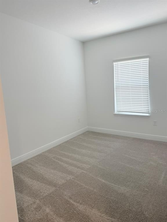 5577 Lemon Orchard Bend - Photo 21