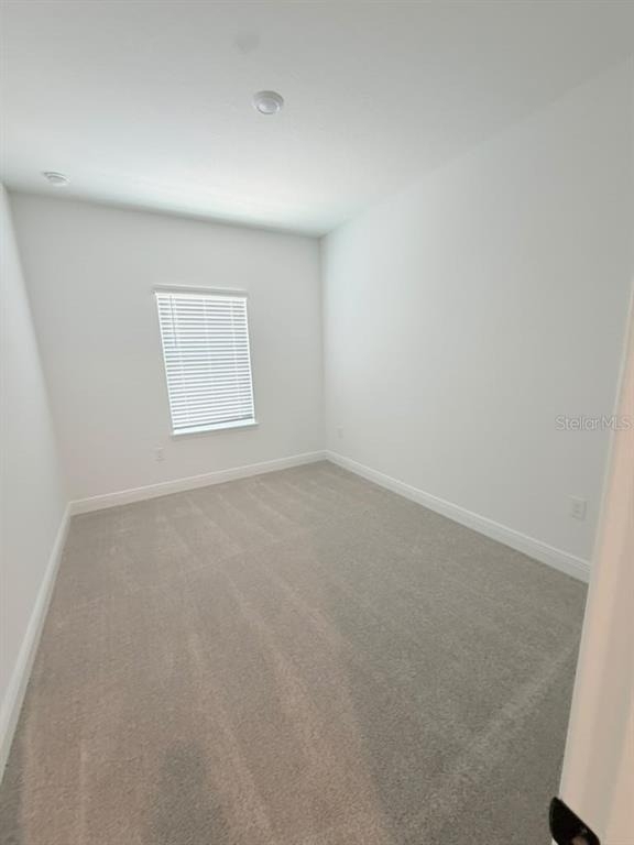 5577 Lemon Orchard Bend - Photo 20