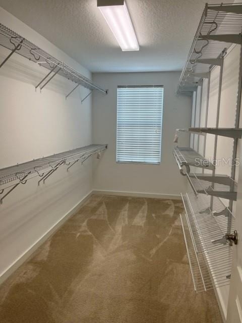 6325 Flat Lemon Drive - Photo 25