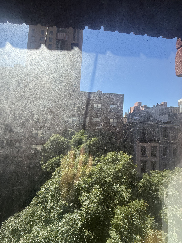 165 East 83rd Street - Photo 4