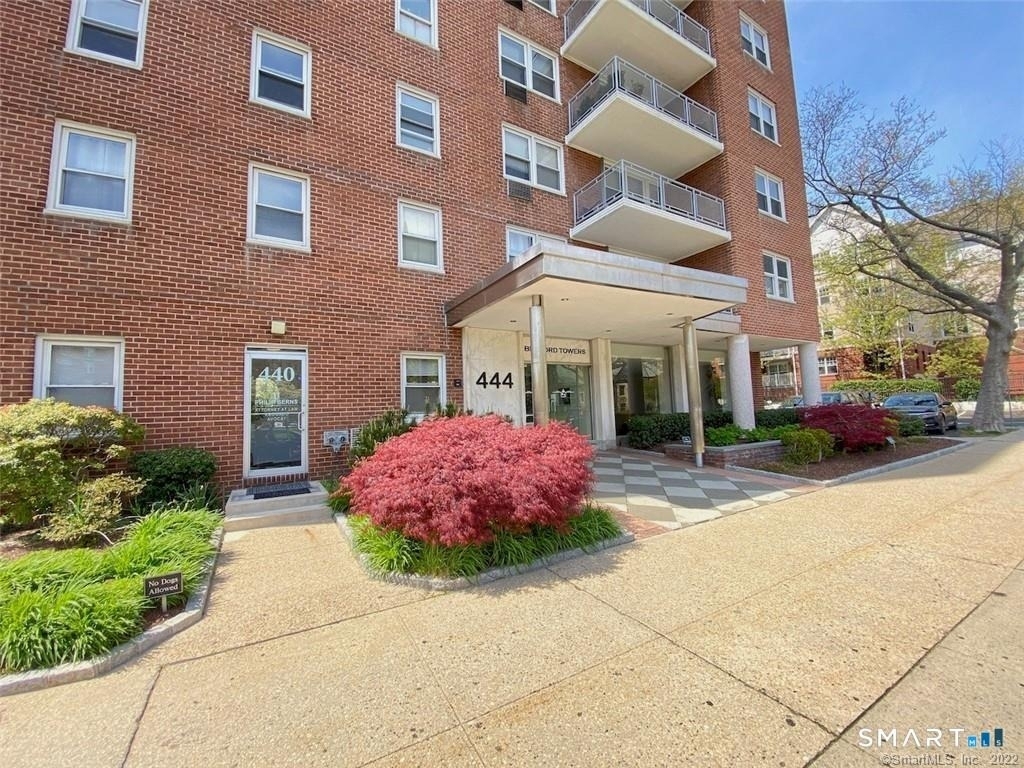 444 Bedford Street - Photo 1