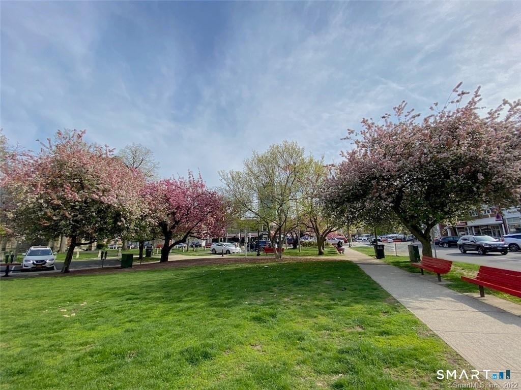 444 Bedford Street - Photo 24
