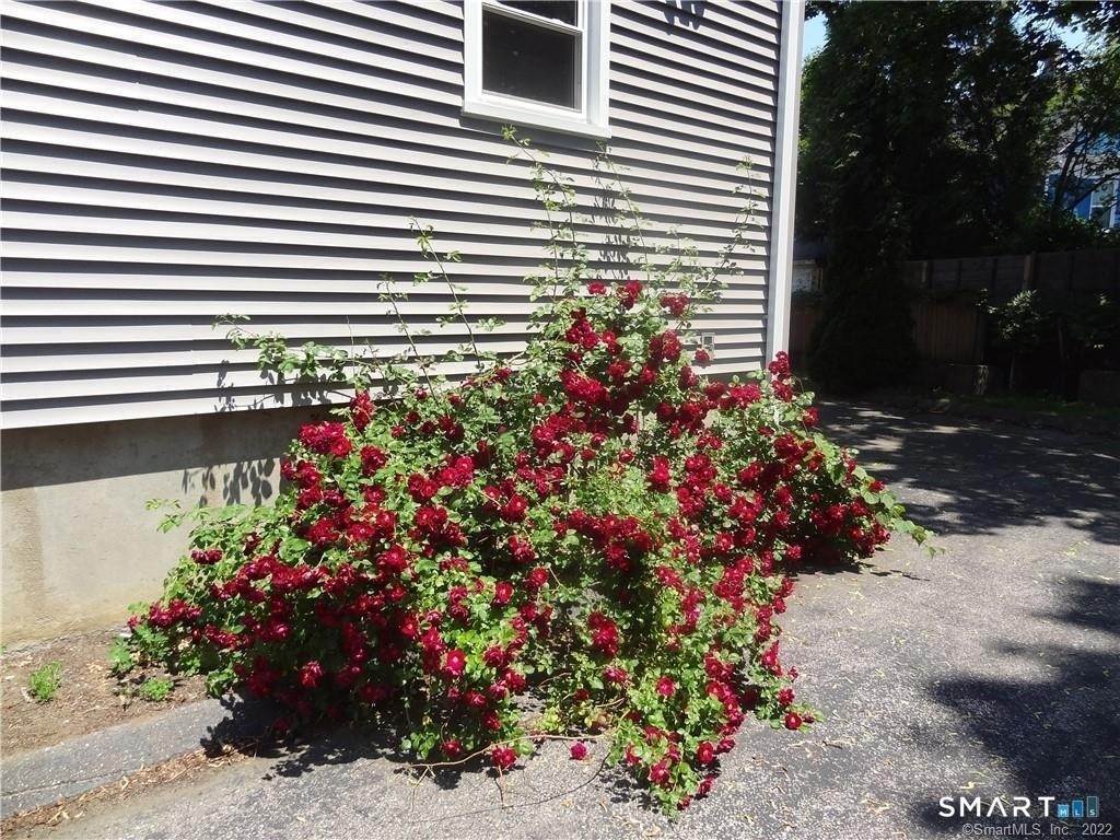 64 Nash Lane - Photo 1