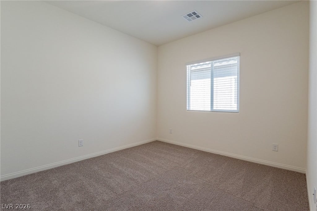 1691 Douglas Creek Street - Photo 28