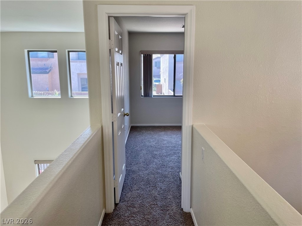 8233 Strawberry Spring Street - Photo 29