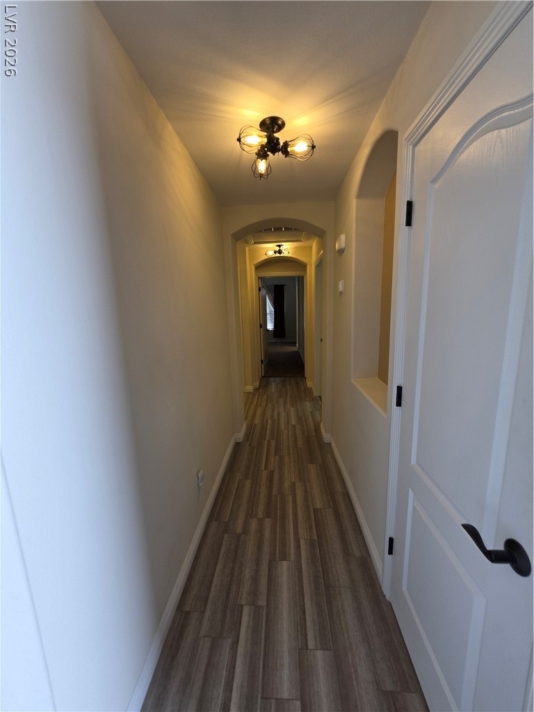 7884 Crownbeard Street - Photo 12