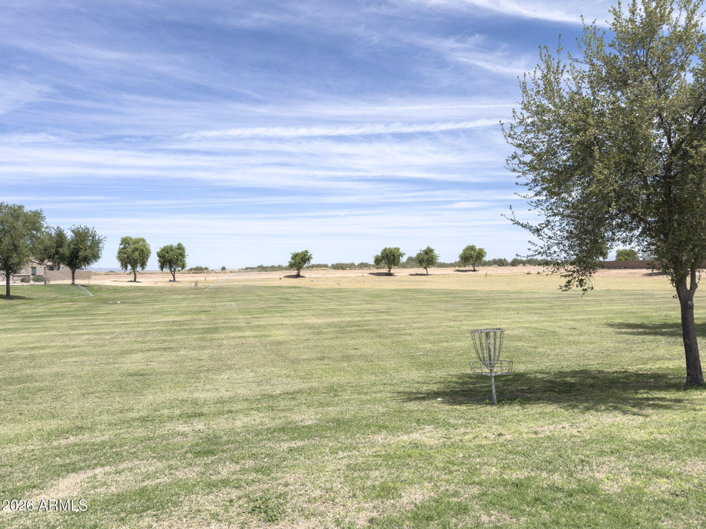 41810 W Cheyenne Drive - Photo 5