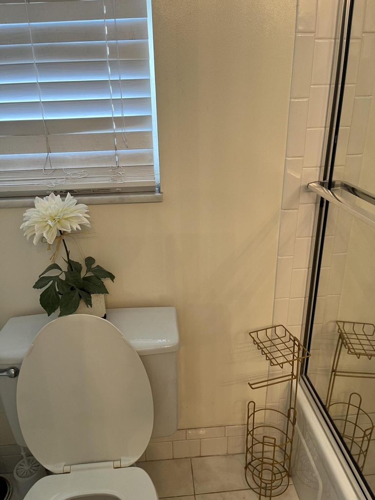 3871 Via Poinciana - Photo 12