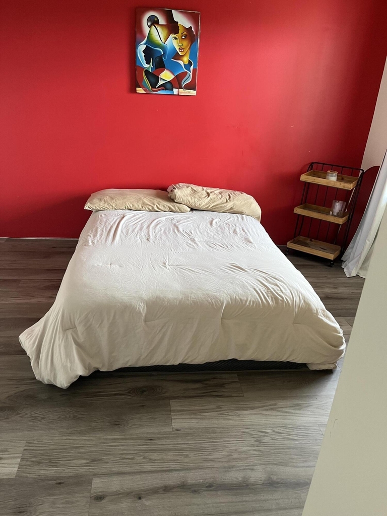3871 Via Poinciana - Photo 11