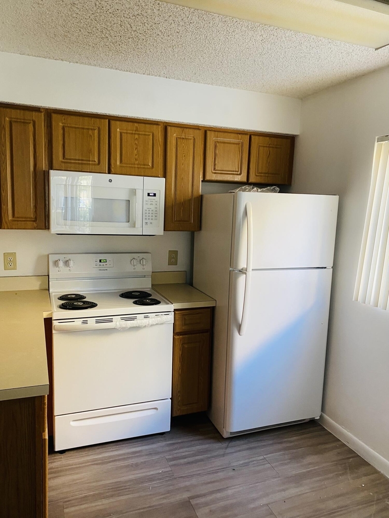 1130 Lake Shore Drive - Photo 2
