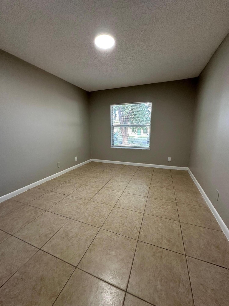 4839 Serafica Drive - Photo 6