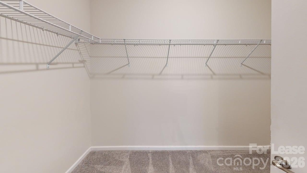 139 Pampas Place - Photo 13