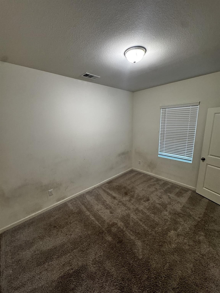 1813 Chapel Hill Road - Photo 13
