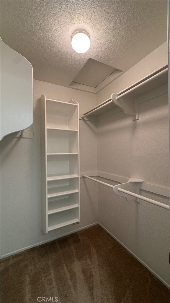 513 Water Oak Lane - Photo 16