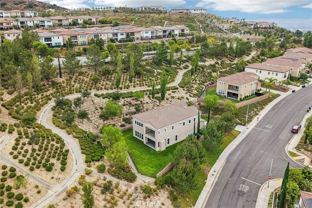 11978 Ricasoli Way - Photo 49