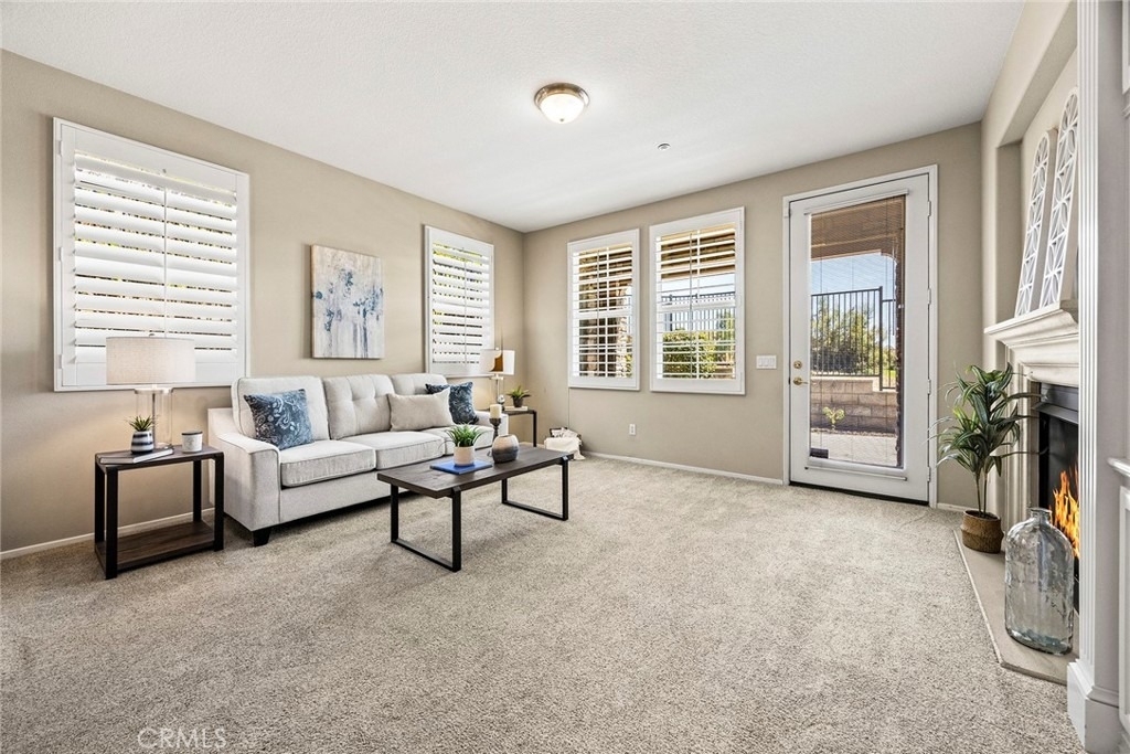 17206 Coriander Court - Photo 12