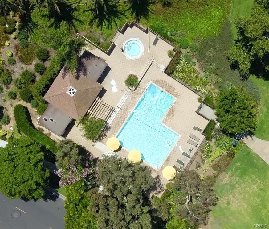 12 Lemon Tree - Photo 24