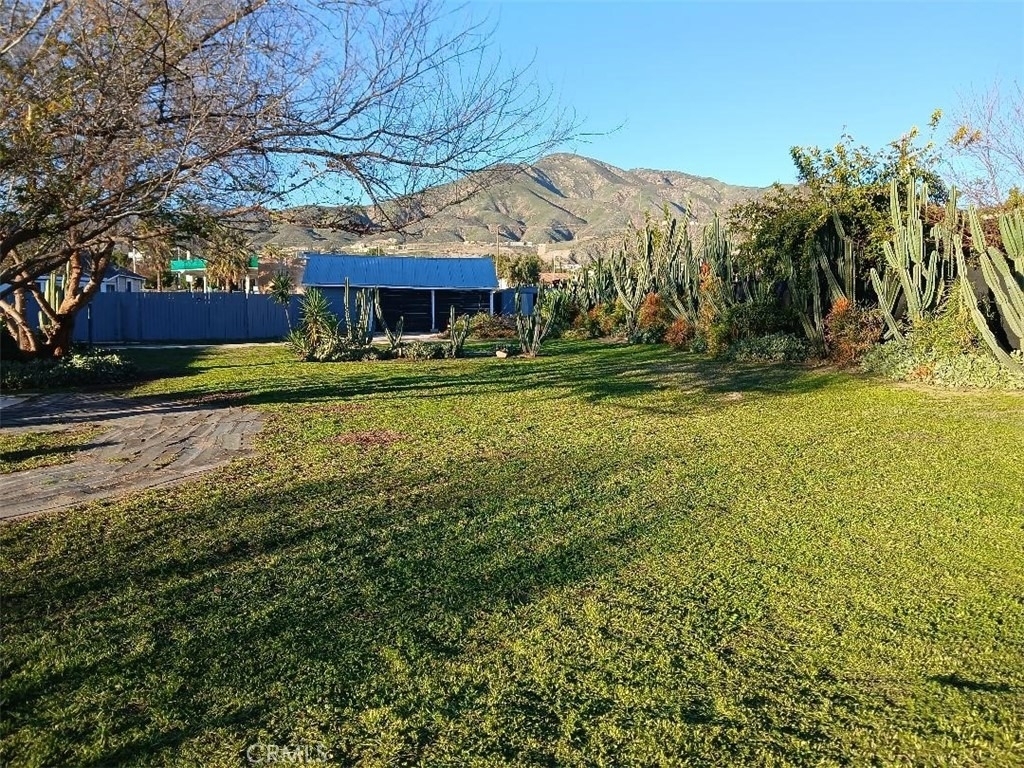 2111 Orange - Photo 3