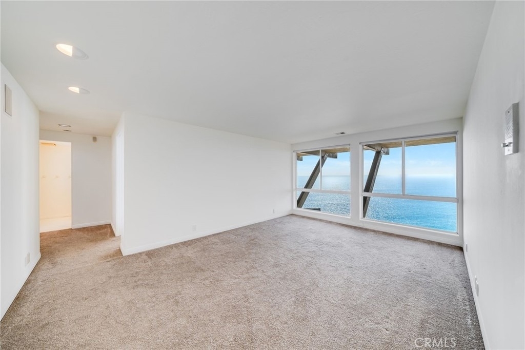 31176 Ceanothus - Photo 14